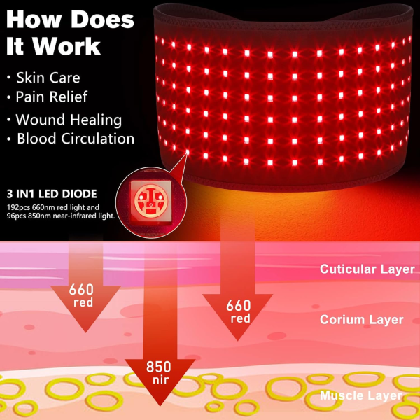 D MAX Cordless Red Light Therapy Belt – Infrared Therapy Wrap for Back & Body Pain Relief (Pulse Therapy, Adjustable Intensity, 4000mAh Battery) - Image 5